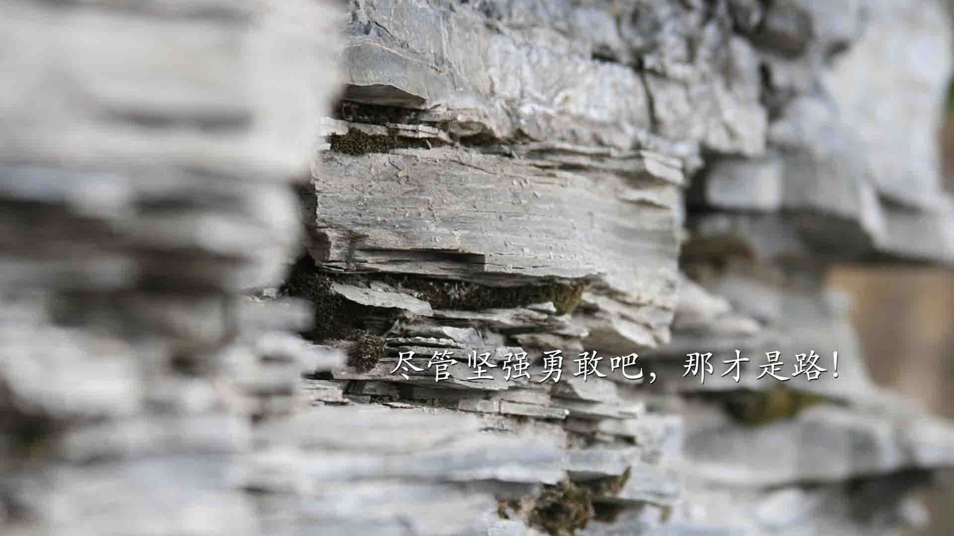 世界冲浪巡回赛:冠军在浪尖上诞生,世界冲浪锦标赛